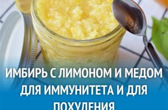 Рецепт имбиря с медом для эффективного похудения