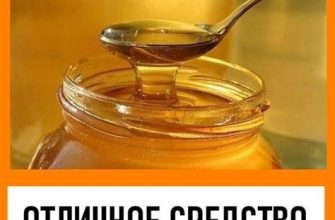 Медовая вода для похудения и очищения организма